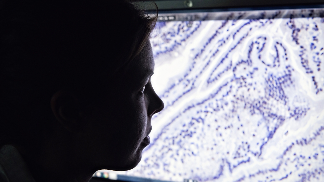Shadowed female face looking at computer screen with dark blue and white cells
