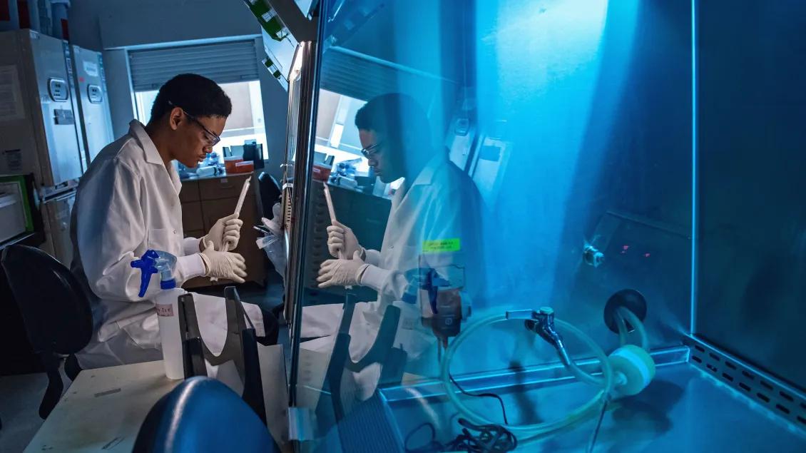 A person working in a lab