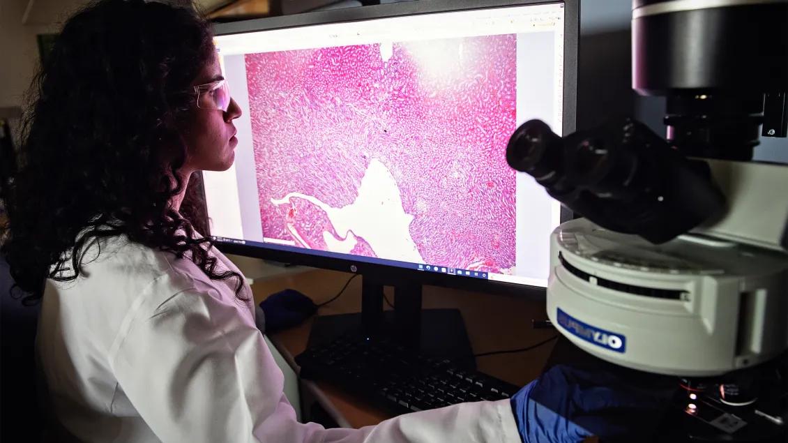 Female researcher wearing safety goggles and a lab coat looking at large computer screen with pink-tinted cells on it