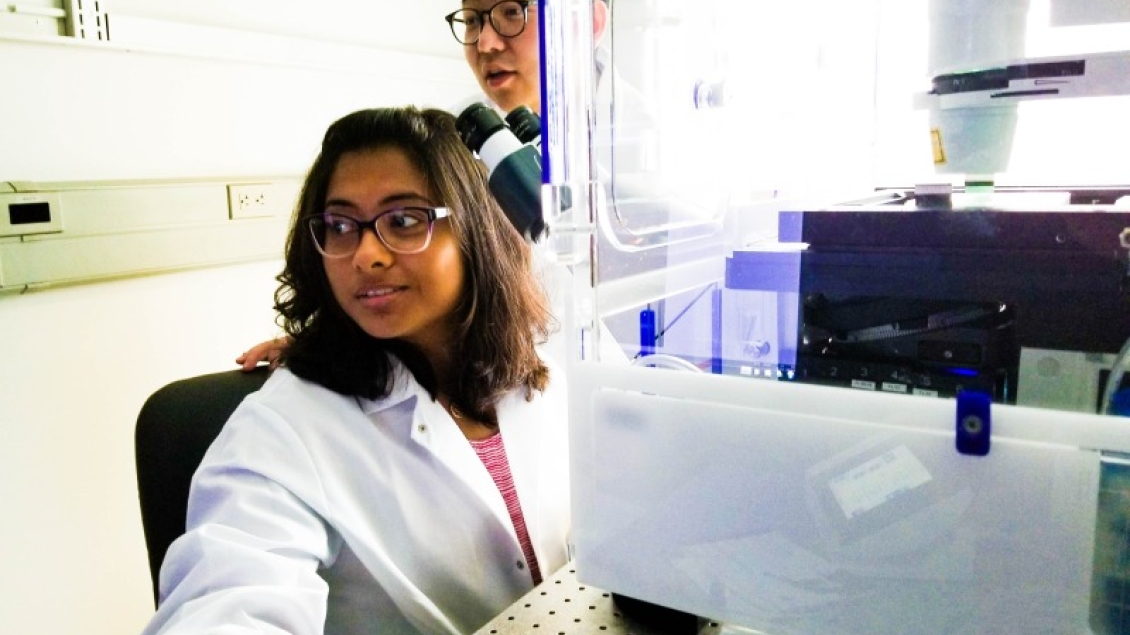 Pharmacology cancer researchers work in the lab