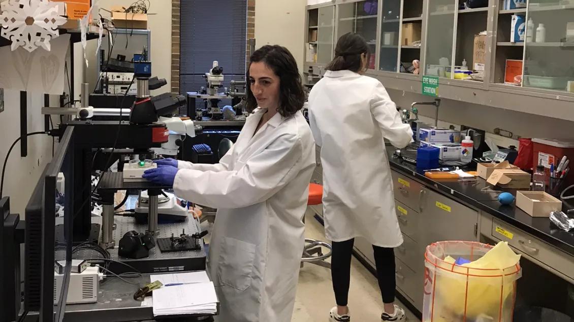 NGP Students working in lab