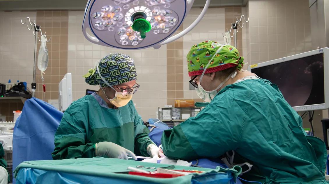 doctors working in or 