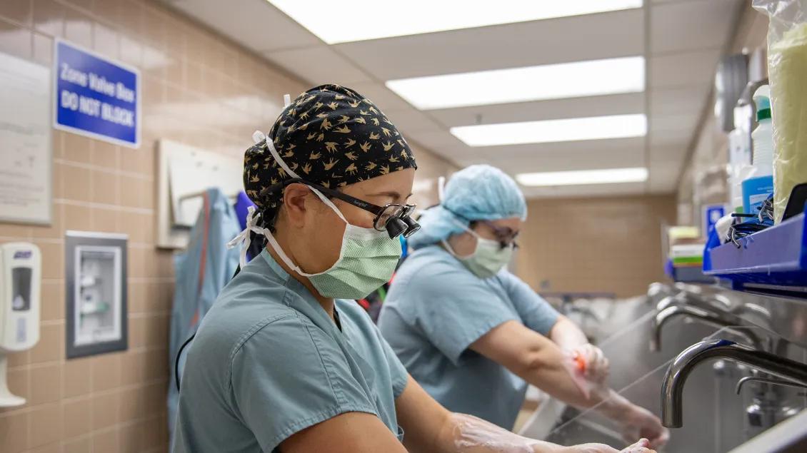 OR assistant is washing arms and hands to scrub into surgery
