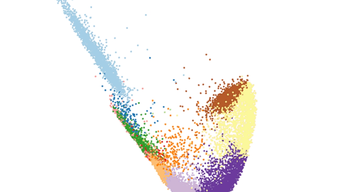 layers of cell clusters 