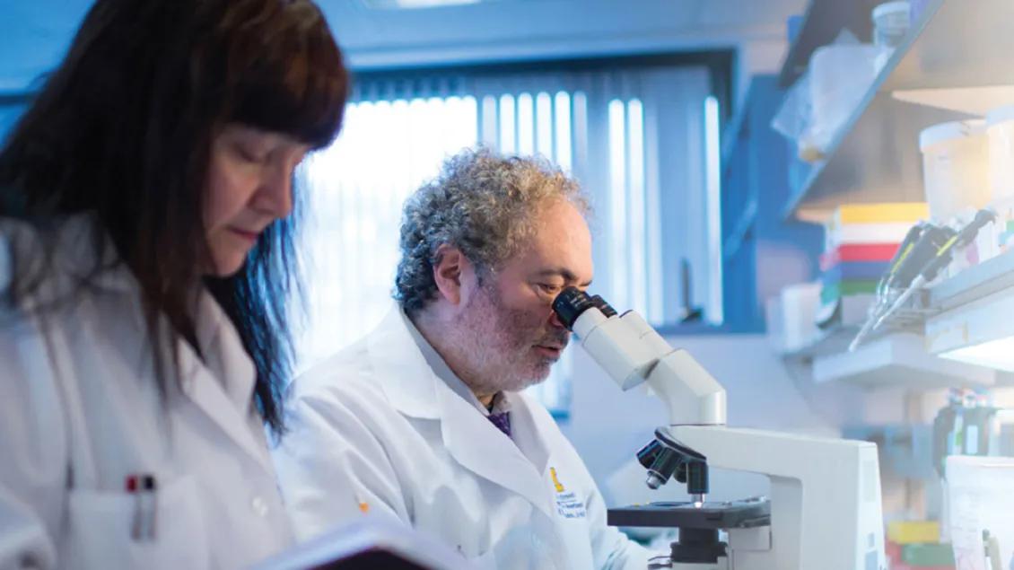 Drs. Castro and Lowenstein working together in their laboratory. Dr. Castro is reading from a book and Dr. Lowenstein is looking into a microscope.