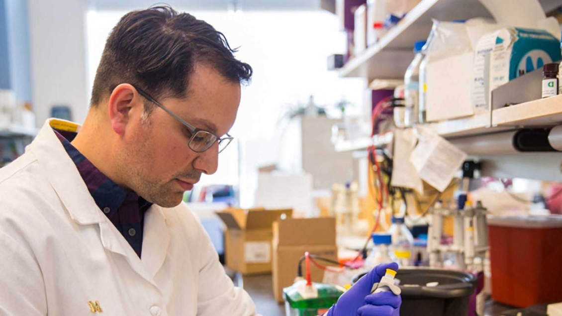 A doctor with glasses and short brown hair working in a laboratory.