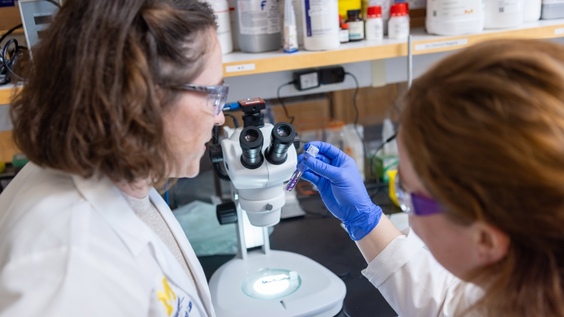 Two researchers in a laboratory, one holding a test tube and the other observing through a microscope