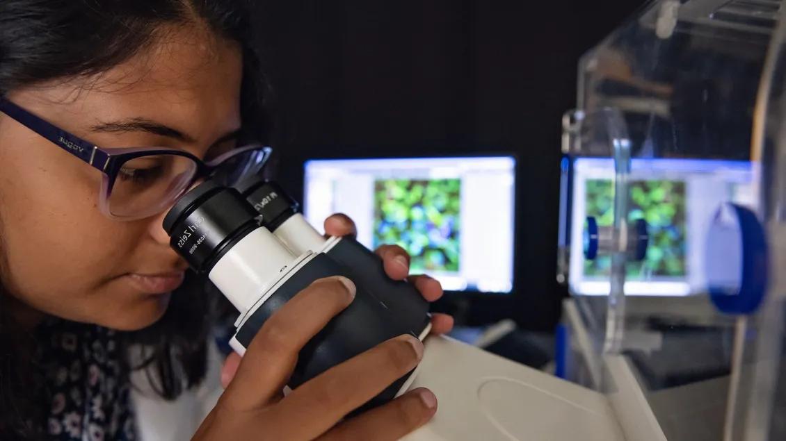 A person using lab equipment