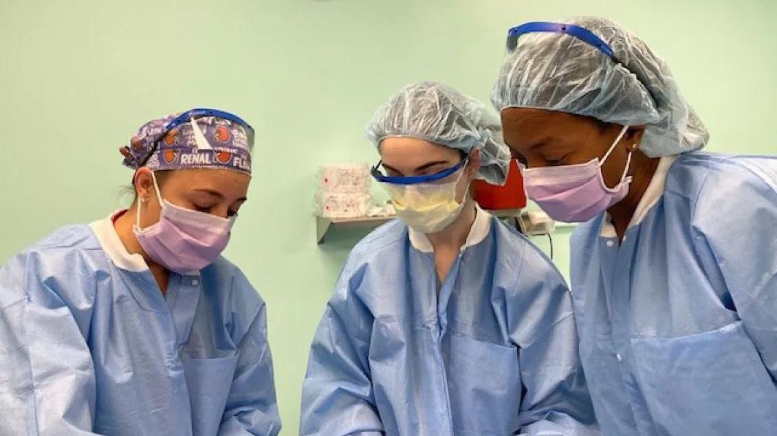 Urology Education Pig Lab