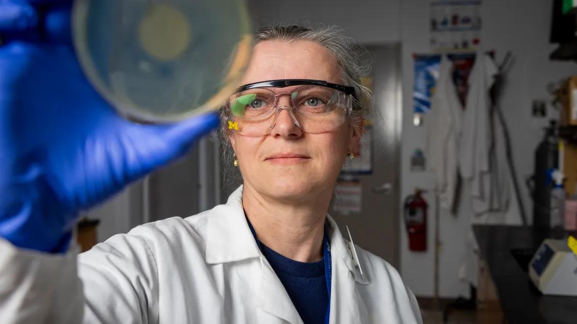 infectious diseases researcher looking at slide