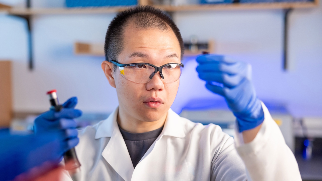 Researcher working in the lab