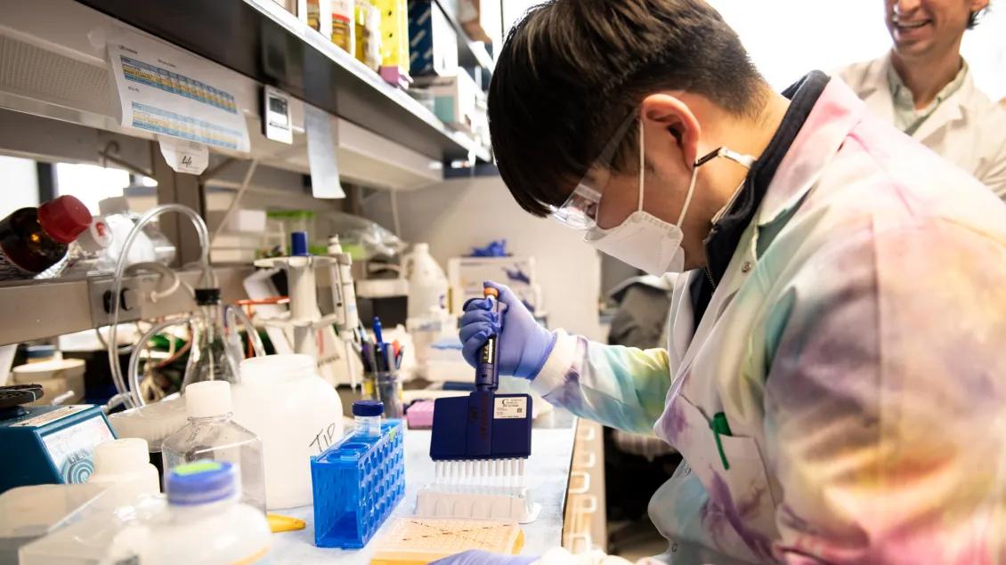 Faculty works in a lab with gloves and a face mask on.