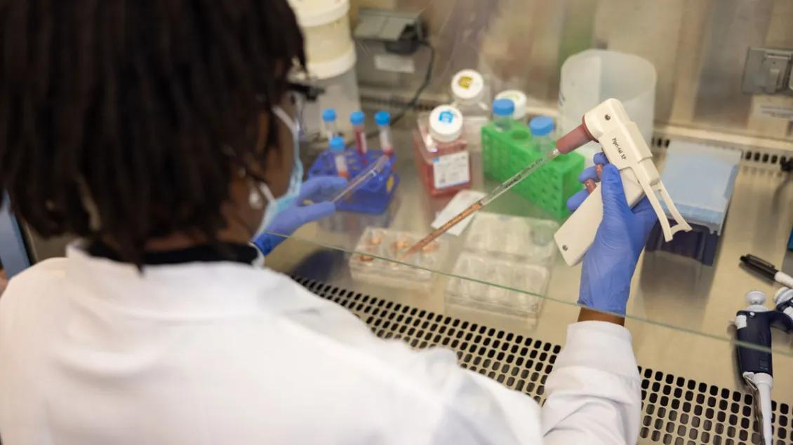 Black research fellow works in the laboratory