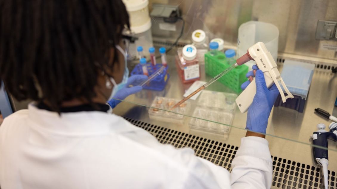 Black research fellow works in the laboratory