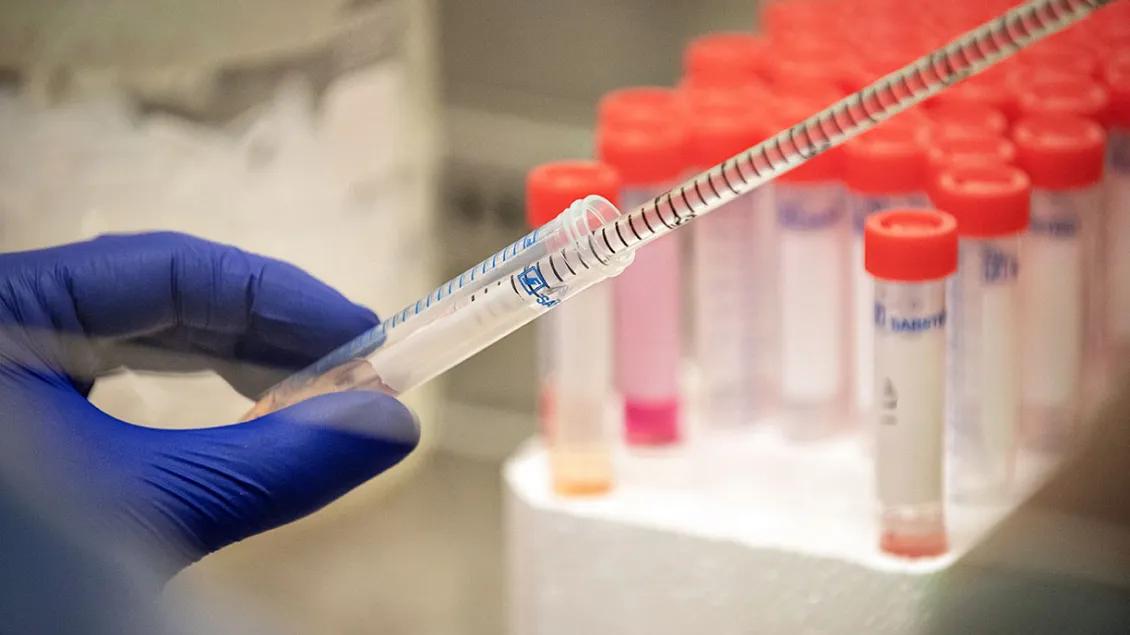 Blue-gloved hand holds pipette