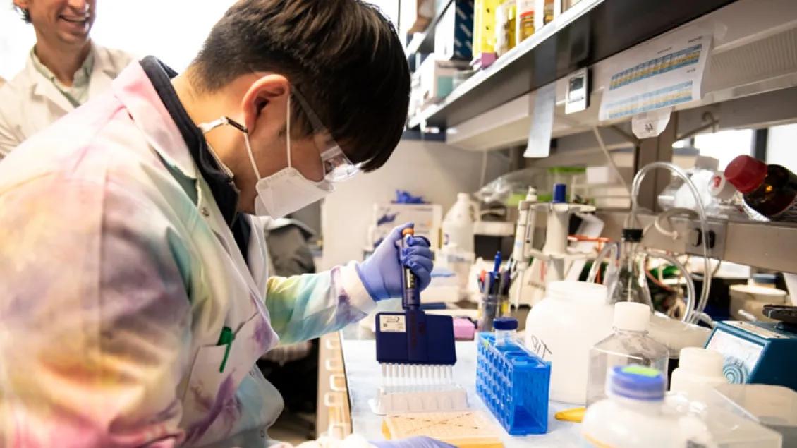 a person working with lab equipment