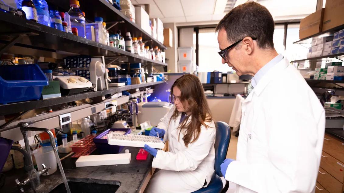 Pediatrics Infectious Disease lab members working in the lab