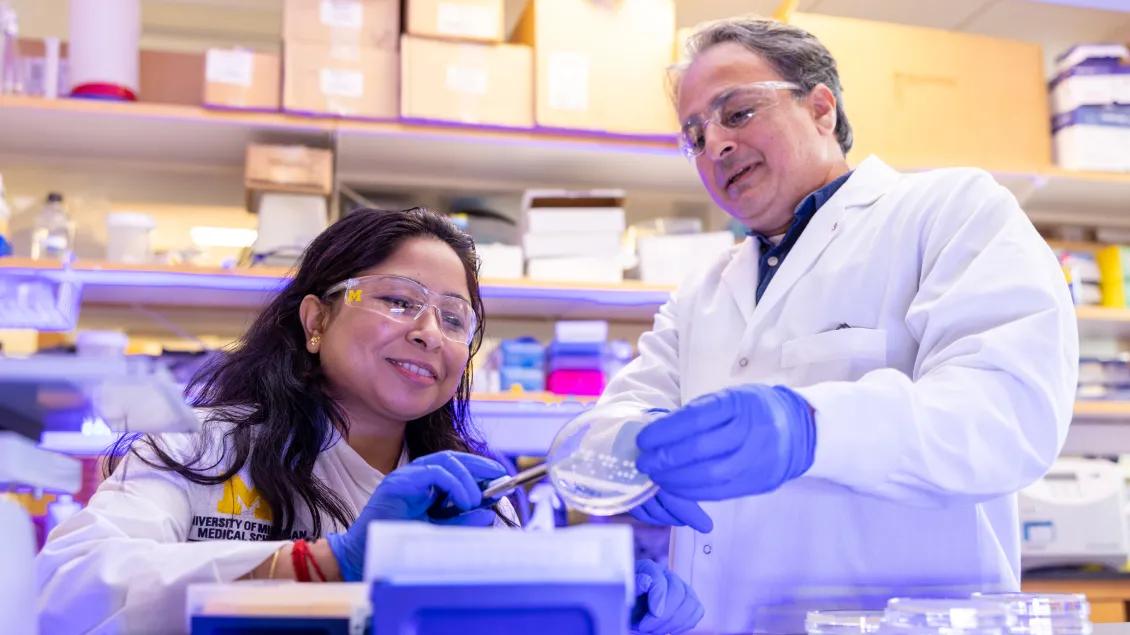 Two researchers in lab coats and safety goggles examining a petri dish together at a lab bench