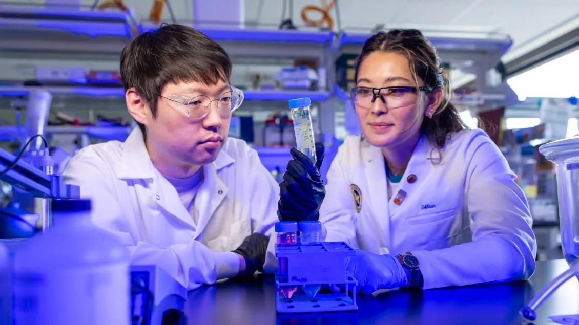 Two researchers in lab coats examine a test tube together in a laboratory.