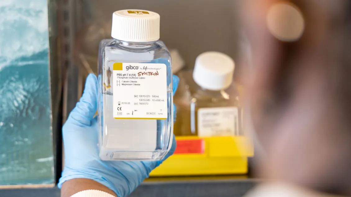 A gloved hand holding a bottle of PBS solution in a laboratory refrigerator.