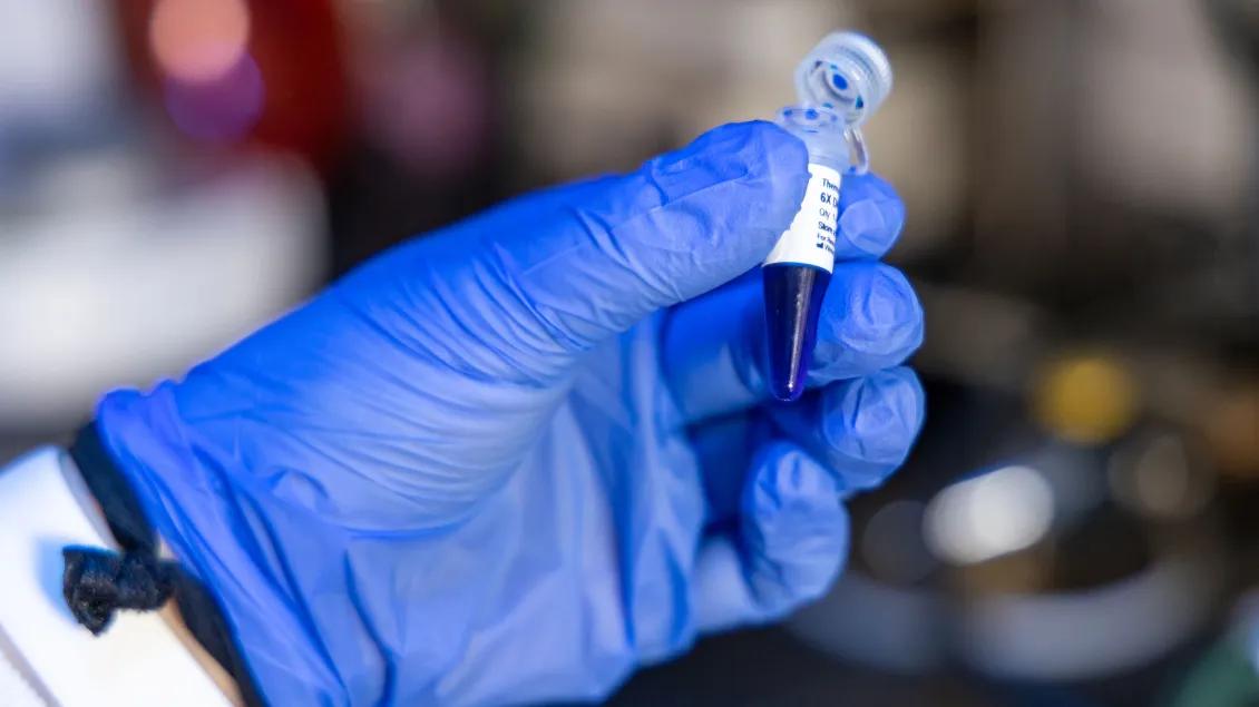 A gloved hand holding a small lab tube filled with dark blue liquid