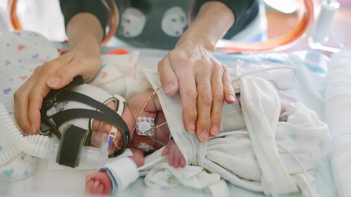 An adult's hands reach into an incubator to gently touch a sleeping baby who is swaddled and connected to many medical devices.
