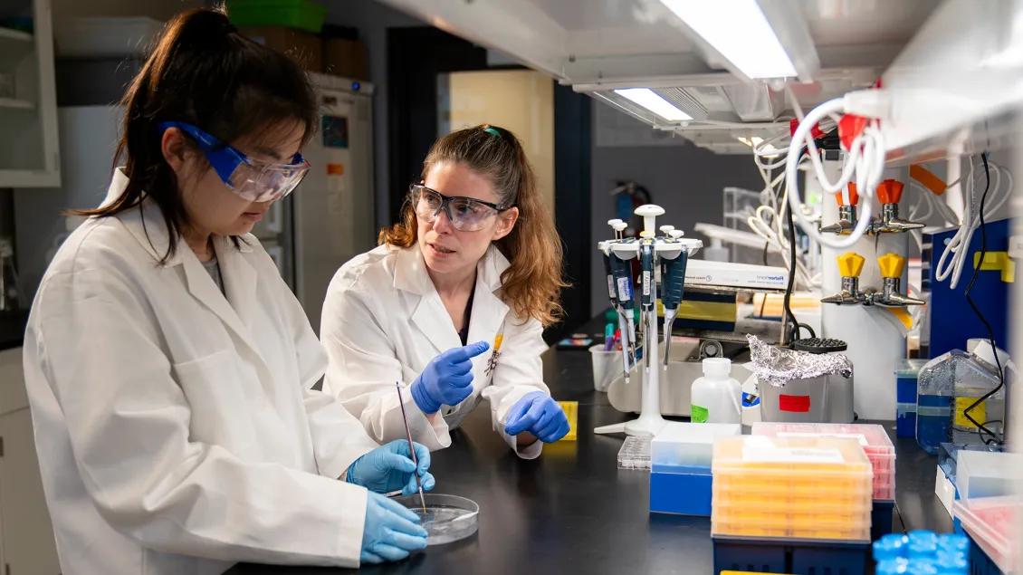 Dr. Alison Affinati and student working in the lab