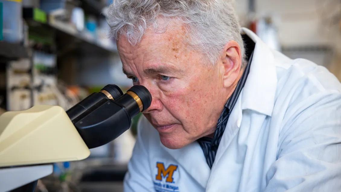 Infectious diseases doctor looking through microscope