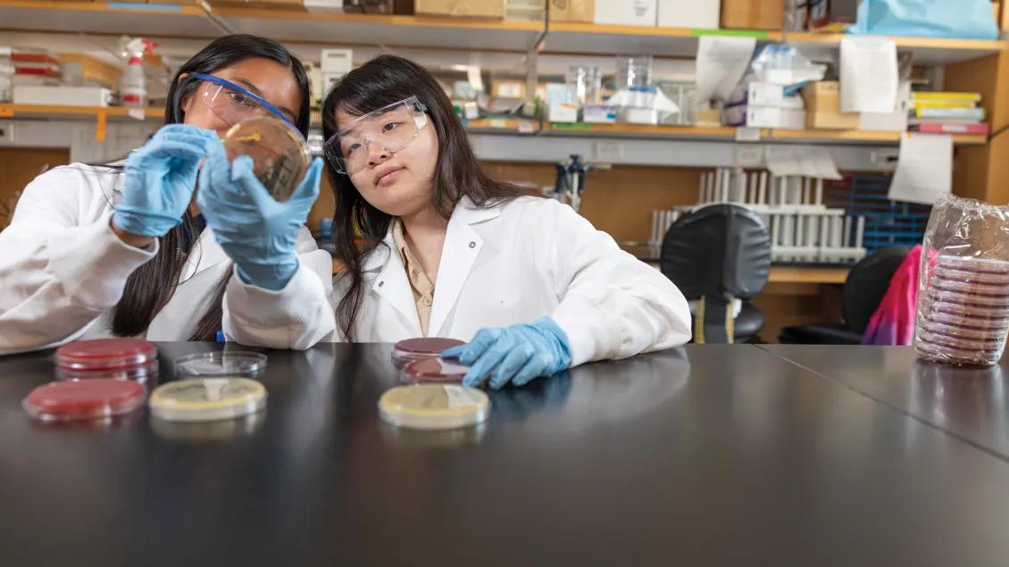 two people in lab examining a slide