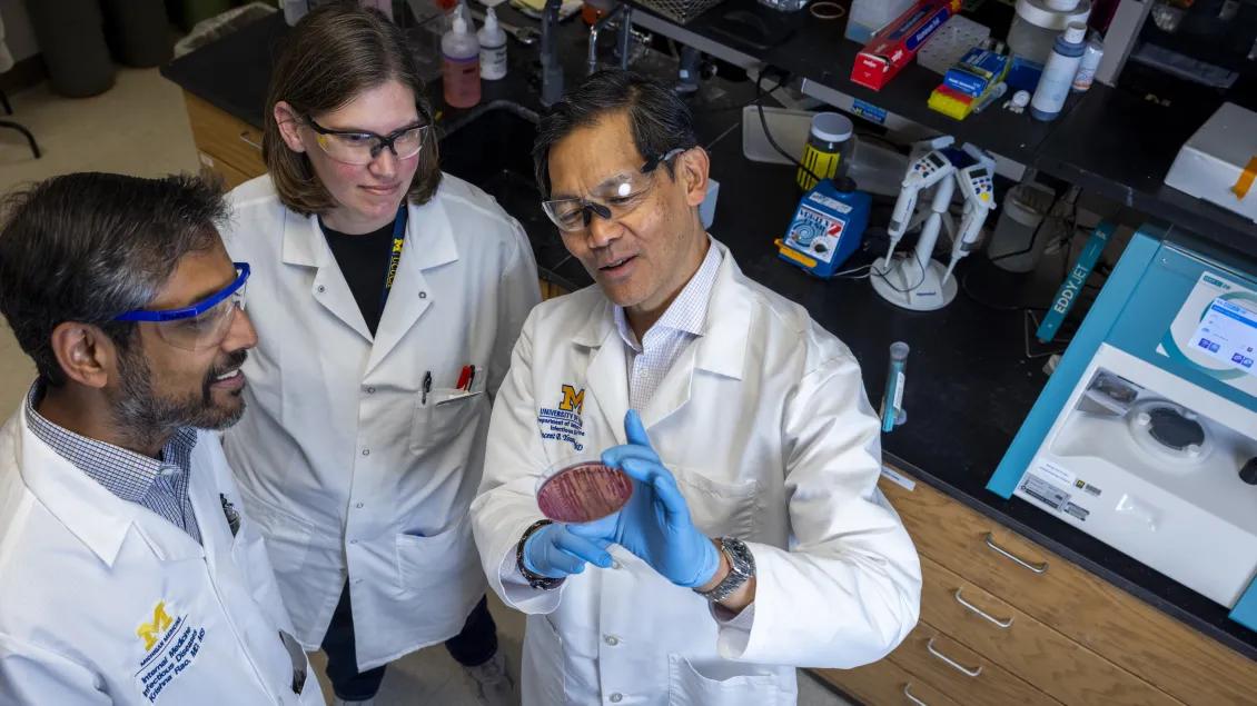 DOIM Research