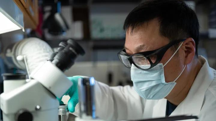 man wearing surgical mask uses a microscope for research 