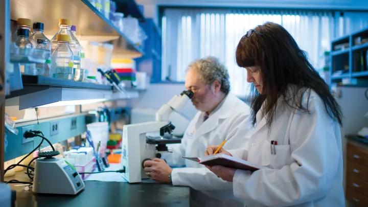 Two researchers in a laboratory, one documenting and the other observing through a microscope
