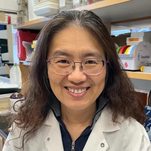 Ying Feng | Faculty | University of Michigan Medical School