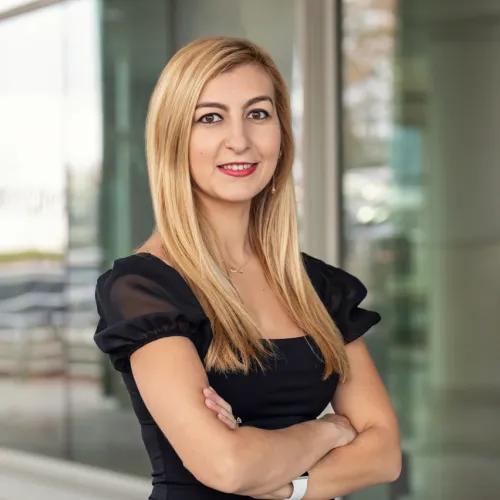Behirda Karaj