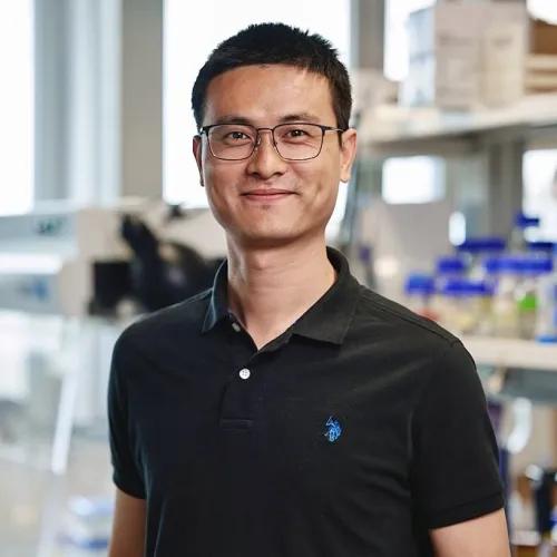 Liang Zhao, Phd