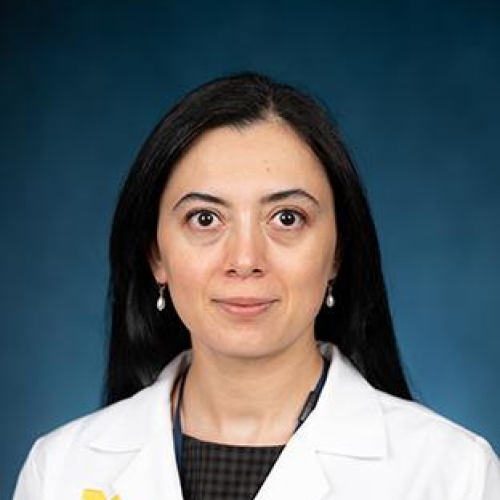 Mehriban Alizada