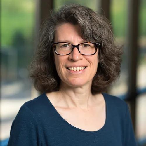 Laura D. Hirshbein