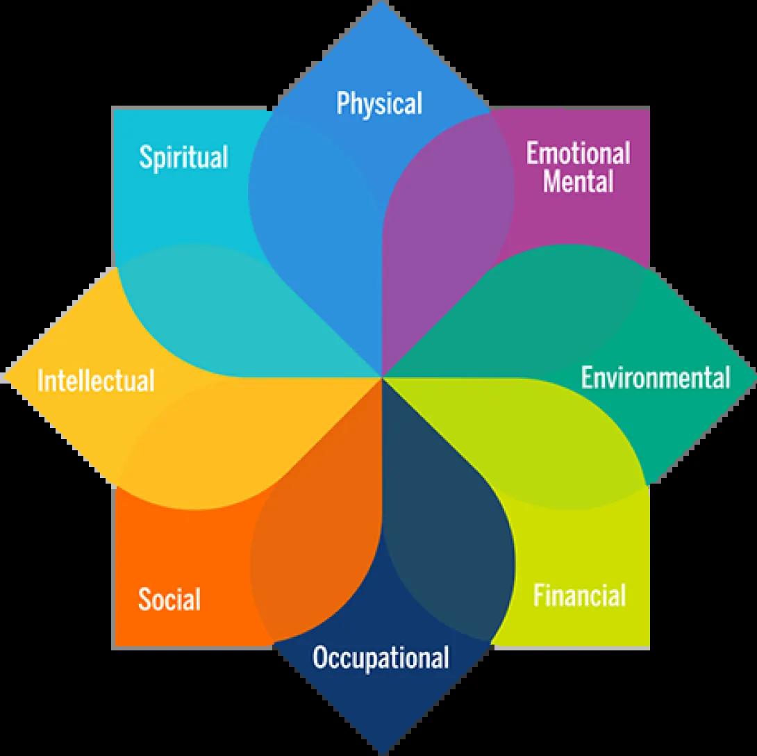 Wellbeing model