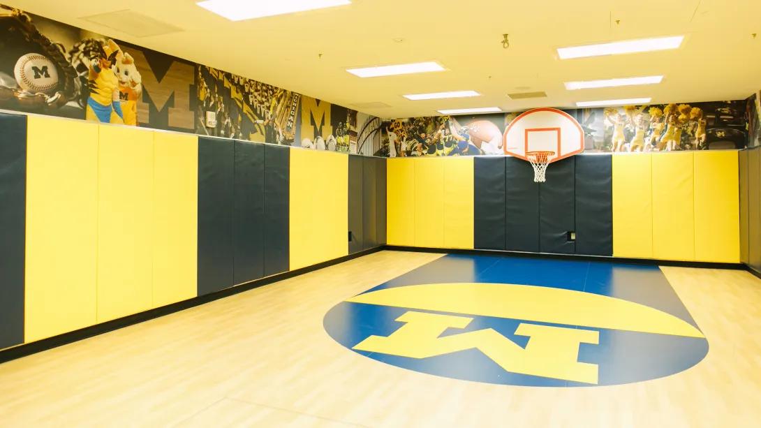 indoor children's basketball court 