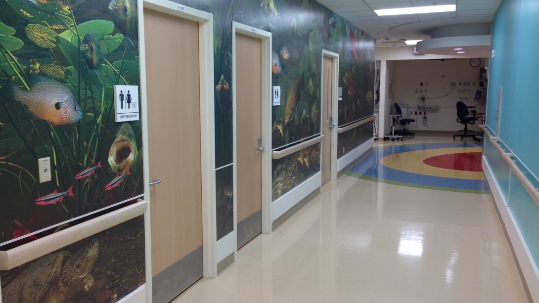 empty pediatric hallway with fish murals 
