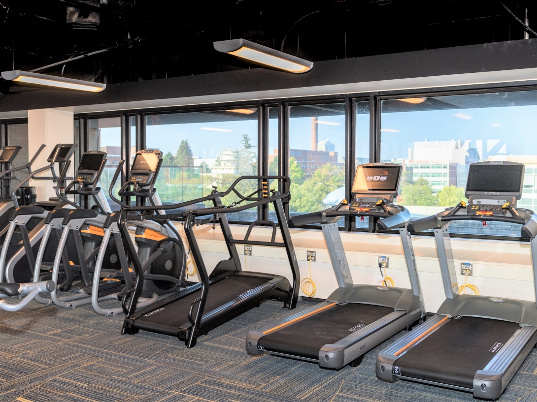 treadmills facing the windows 