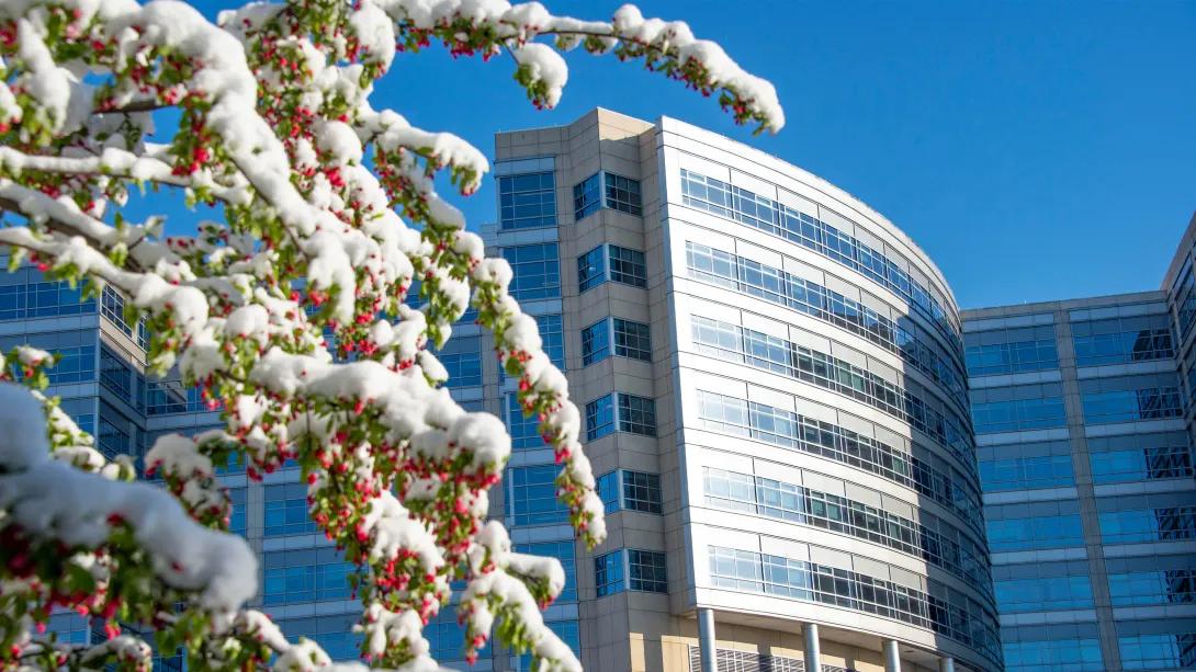 Campus building with a snow-covered branch