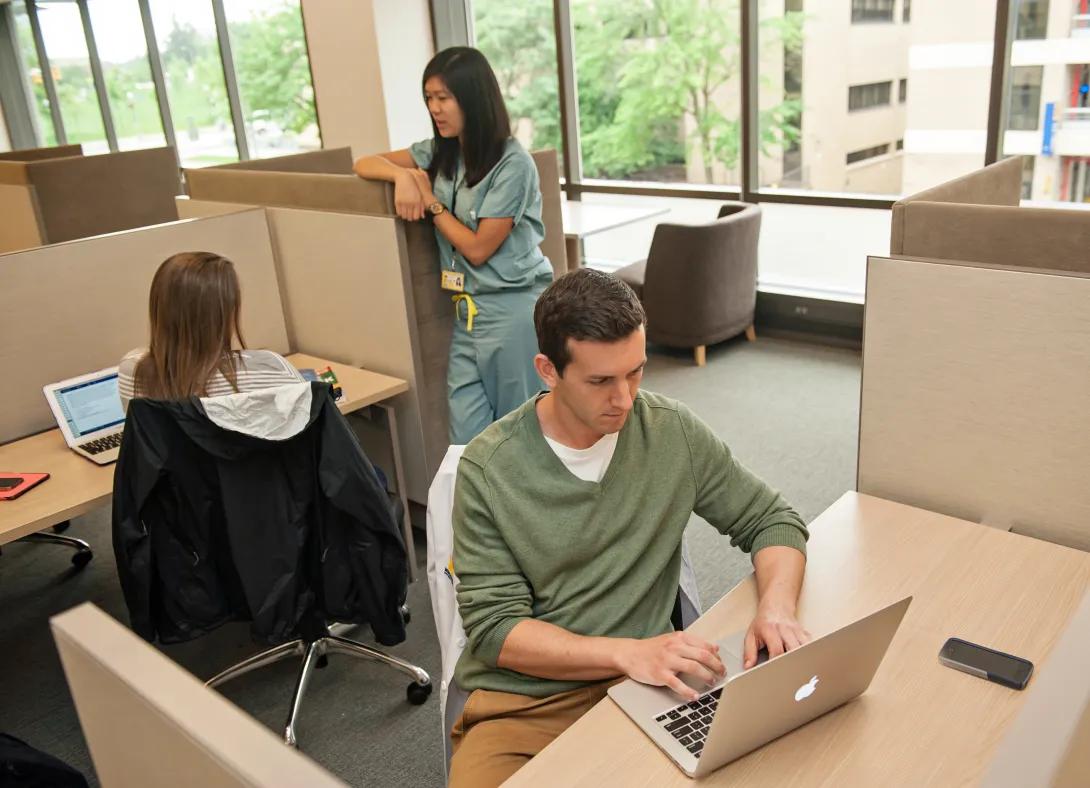 Staff working in cubicle in facility