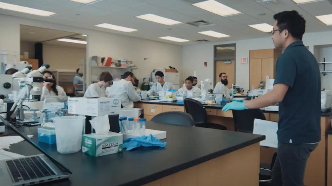 Students working a in a classroom laboratory 