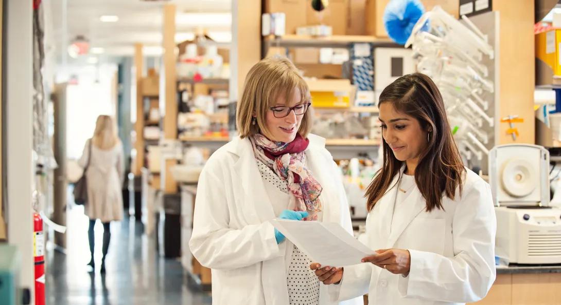 Doctors in lab coats reading paper work together