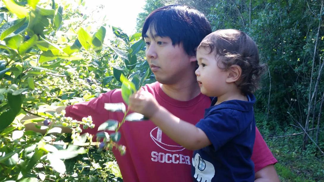 Man with child picking some flowers