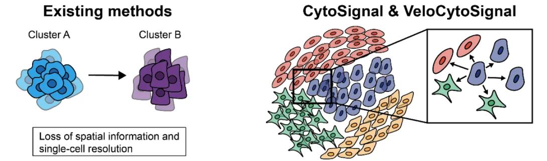 Existing methods infer cell-cell signaling infographic