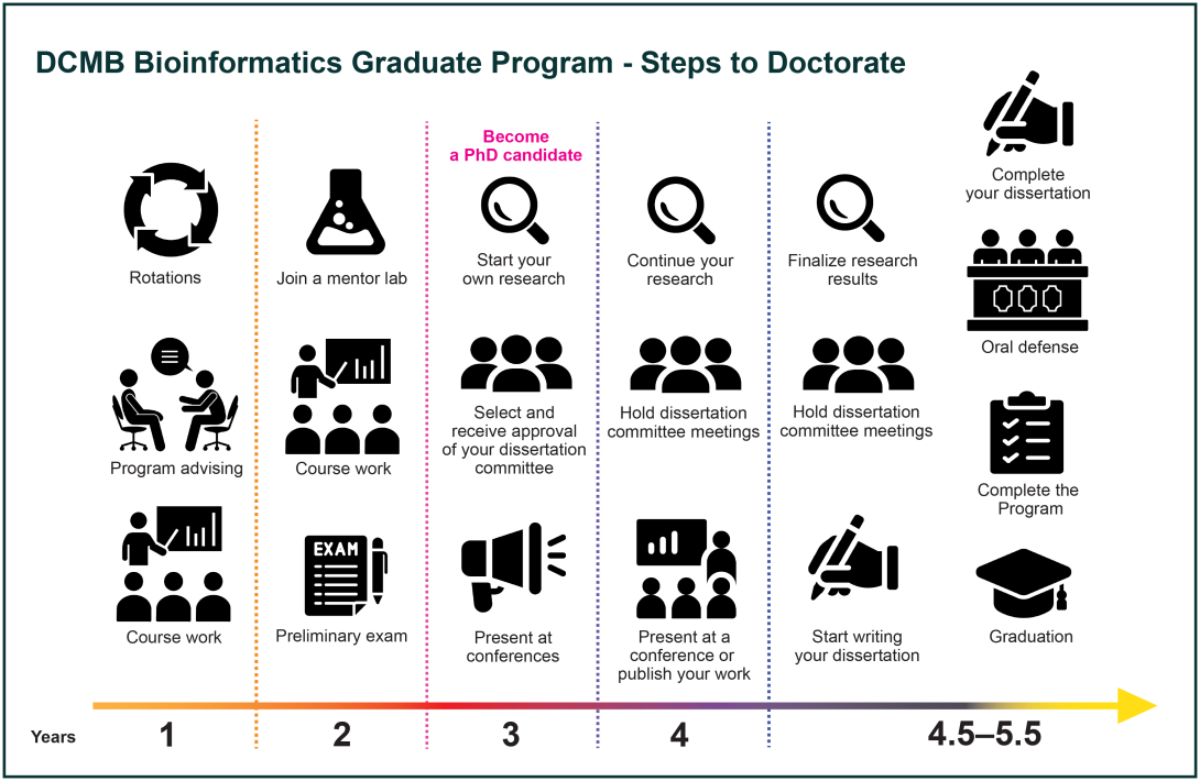 infographic about DCMB Bioinformatics Graduate Program steps to doctorate. This infographics is made of bold black and white icons that represent each expected tasks, organized in columns over a line that shows time in years.