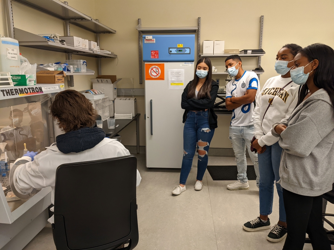 Students watch lab demonstration 