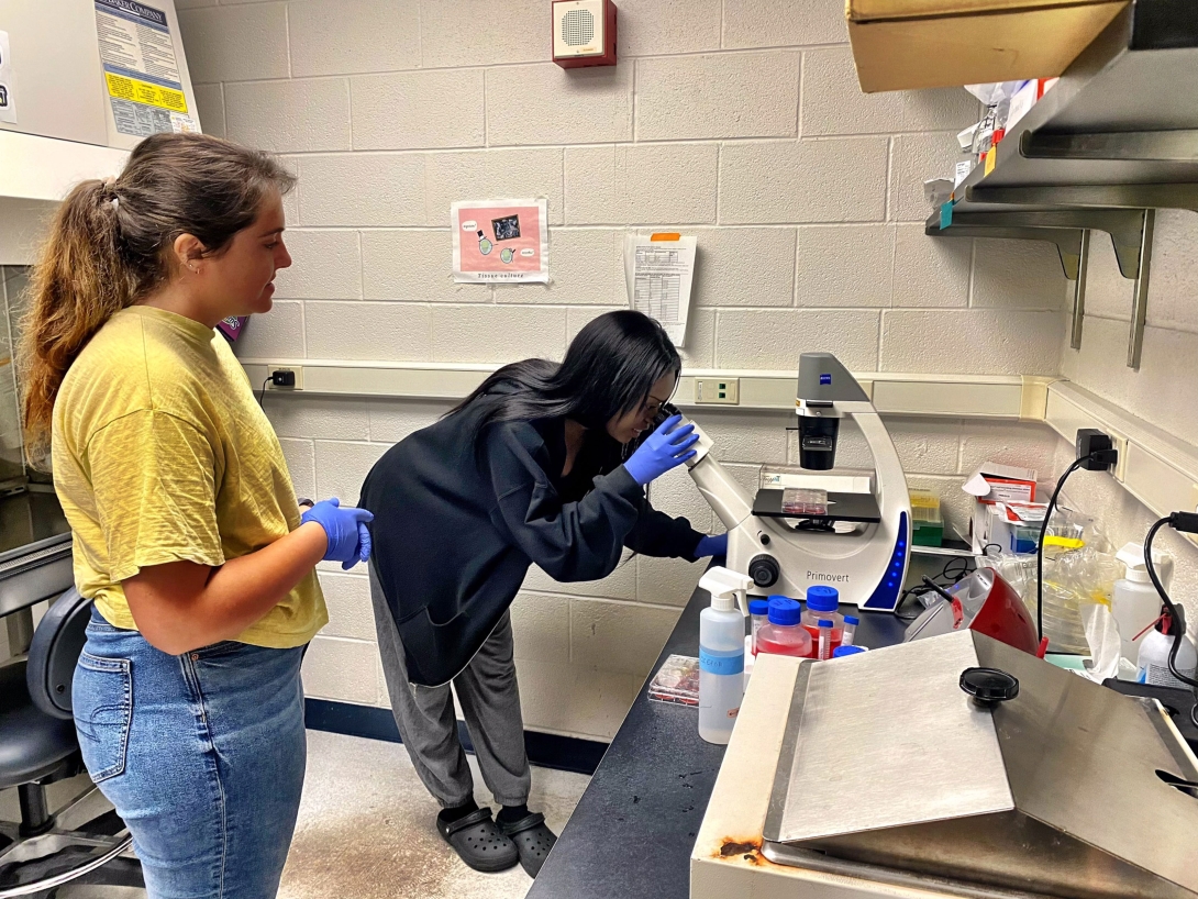 students looking through microscope 